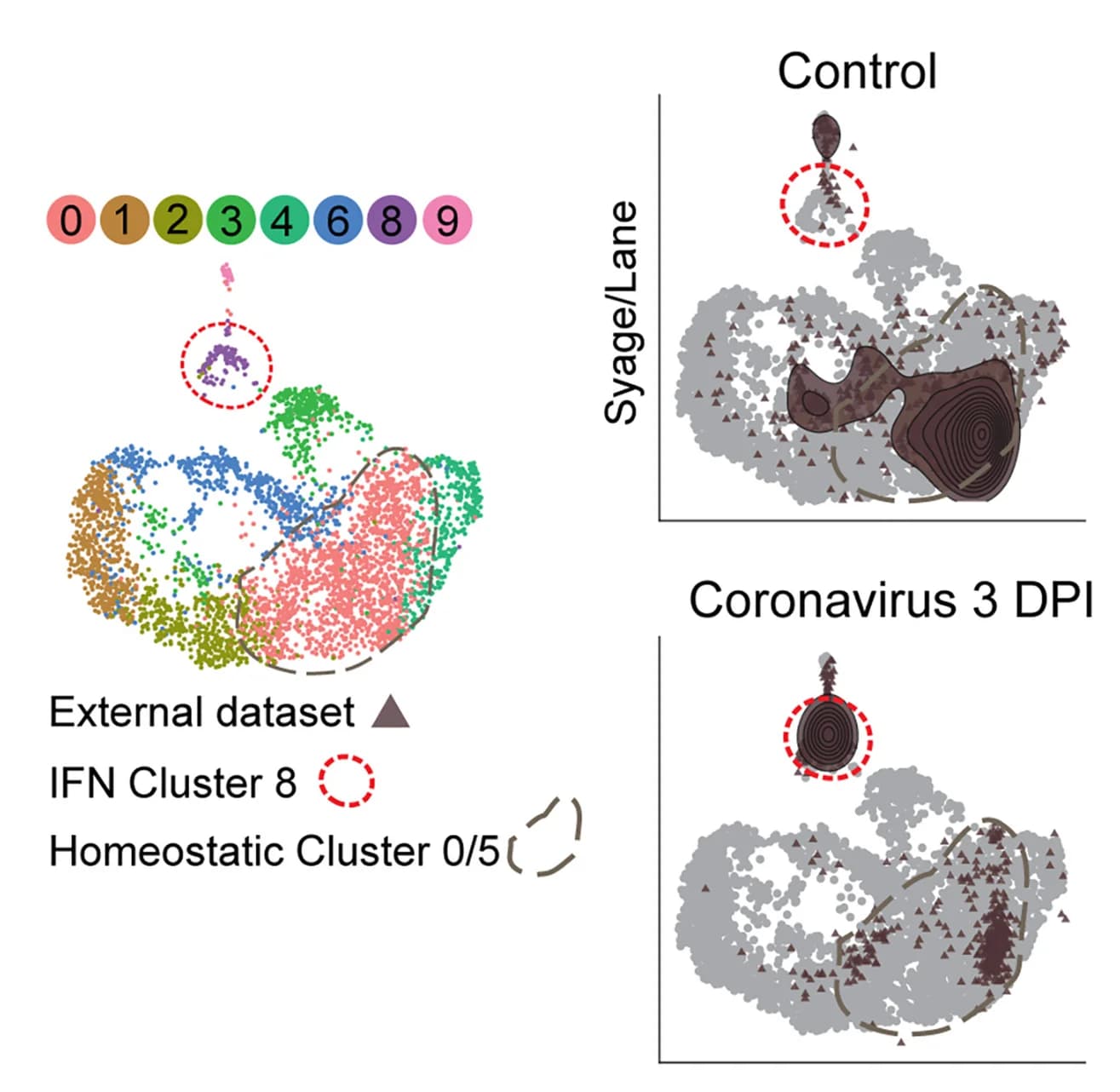 Open access visualization of Scatter Plot, Density Plot, Microglia, PCA, UMAP
