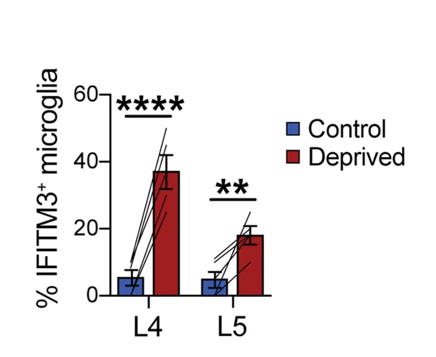 Open access visualization of Bar Plot, Error Bars, Clustered, Microglia, IFITM3