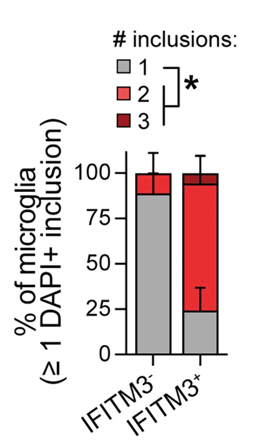 Open access visualization of Stacked Bar Plot, Error Bars, Microglia, Inclusions, Distribution