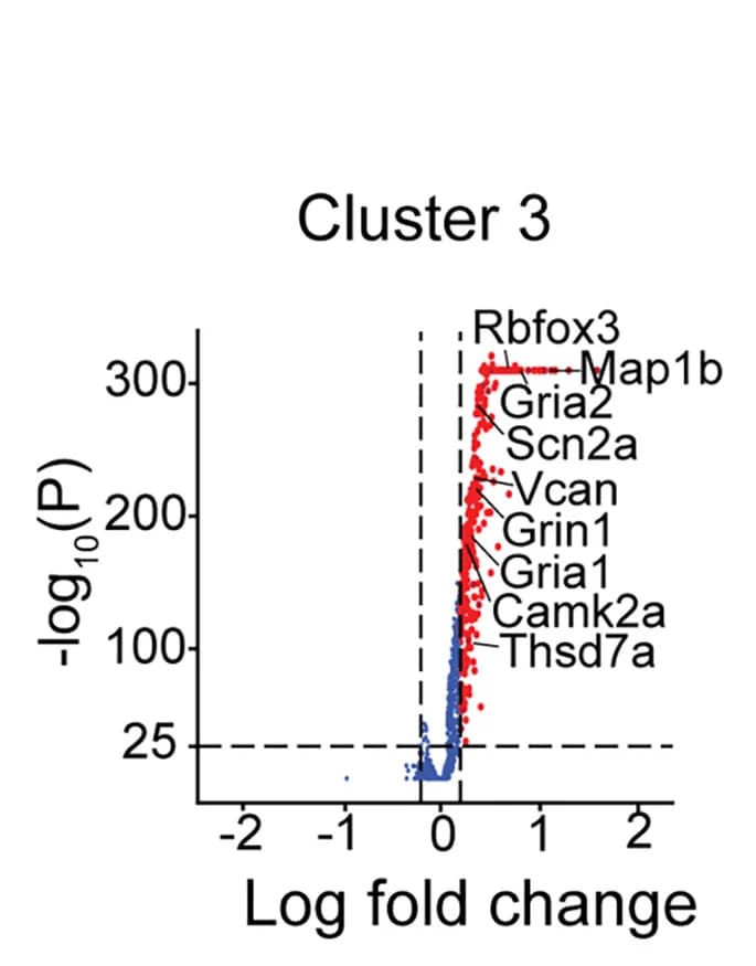 Open access visualization of Volcano Plot, Differentially Expressed Genes, Cluster 3