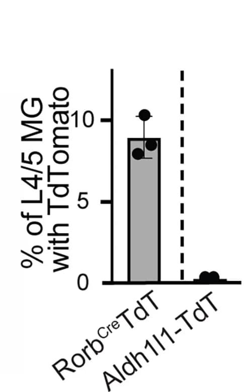 Open access visualization of Bar Plot, Error Bars, Microglia, TdTomato, Rorbcre:TdT