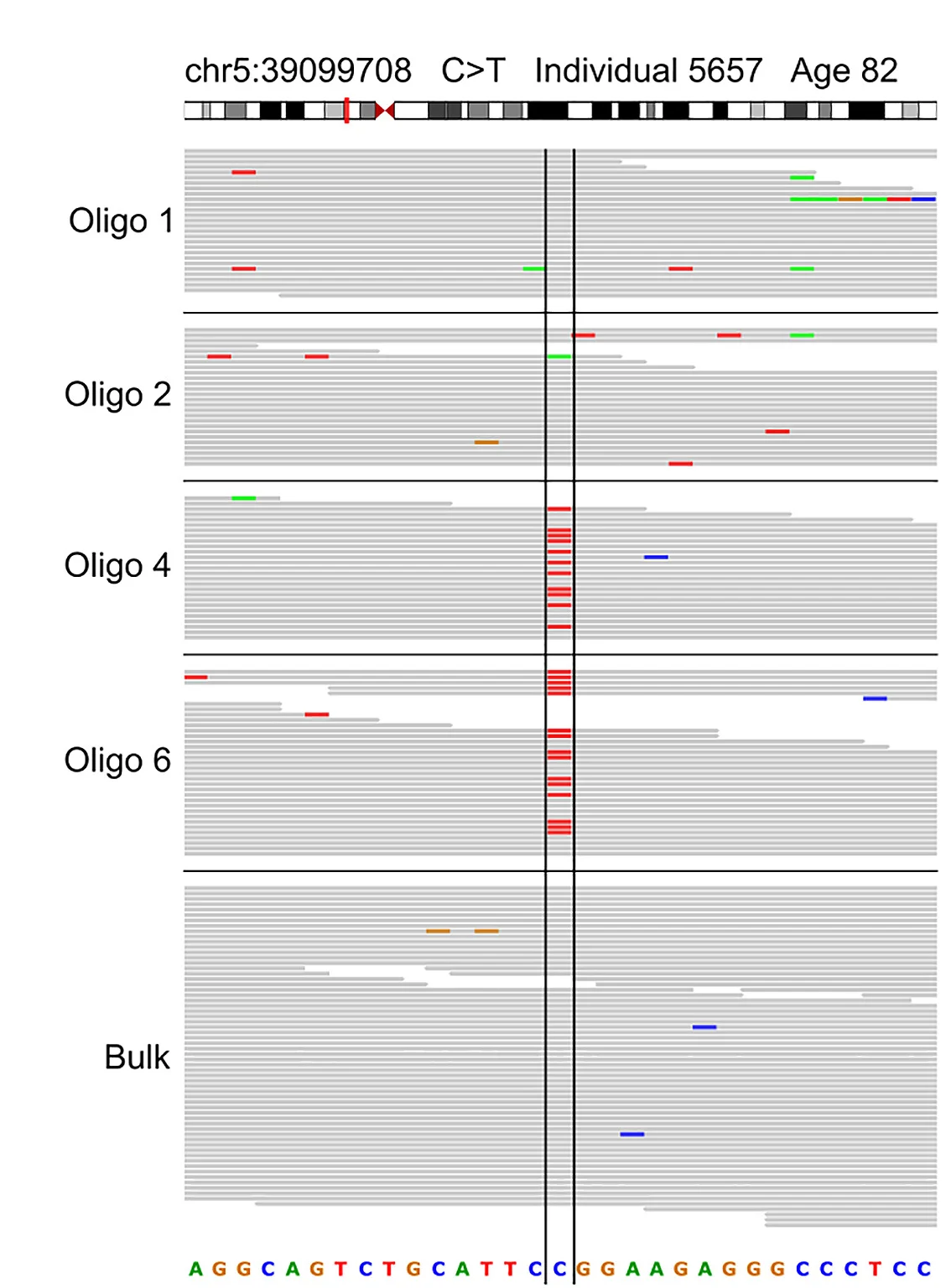 Open access visualization of Gel, Integrated Genomics Viewer, sSNVs, SCAN2, Oligodendrocytes
