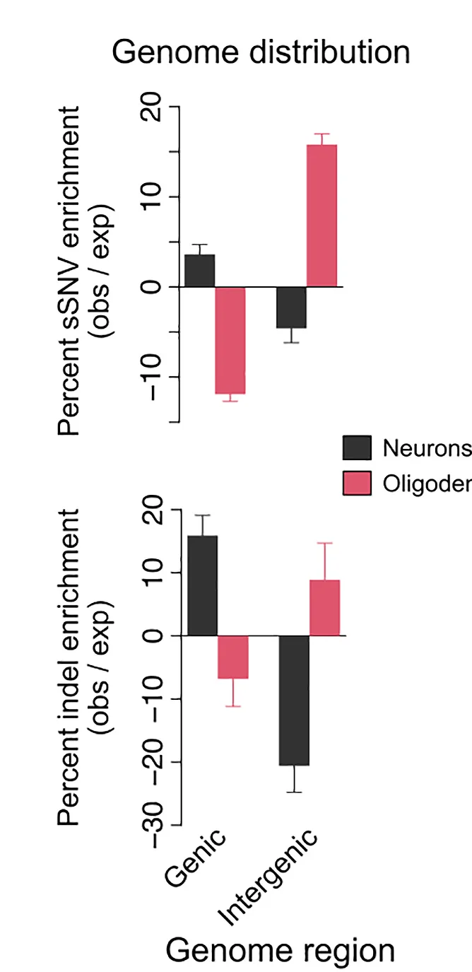 Open access visualization of Clustered, Error Bars, Oligodendrocytes, Neuronal sSNVs, Indels
