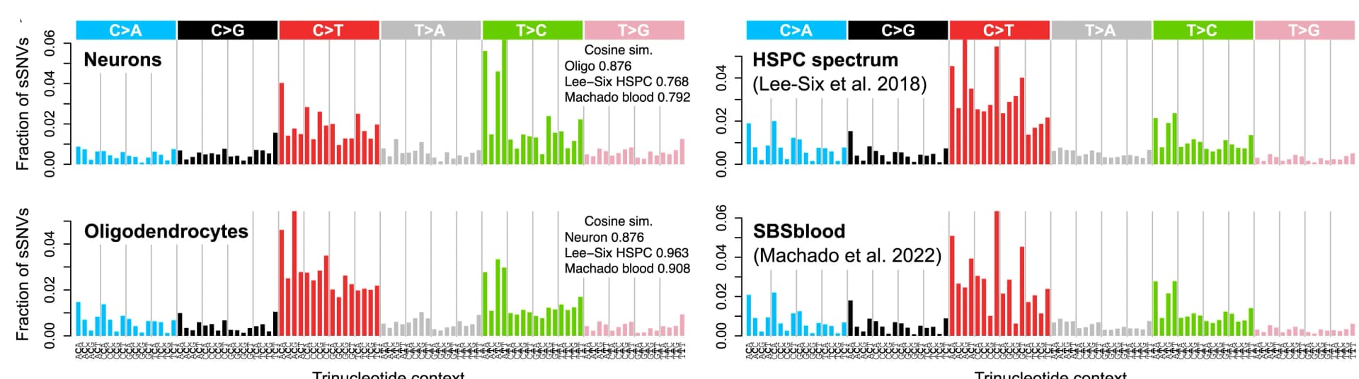 Open access visualization of Bar Plot, SBS Mutational Spectra, Neuronal sSNVs, Oligodendrocyte sSNVs, Hematopoietic Stem and Progenitor Cells