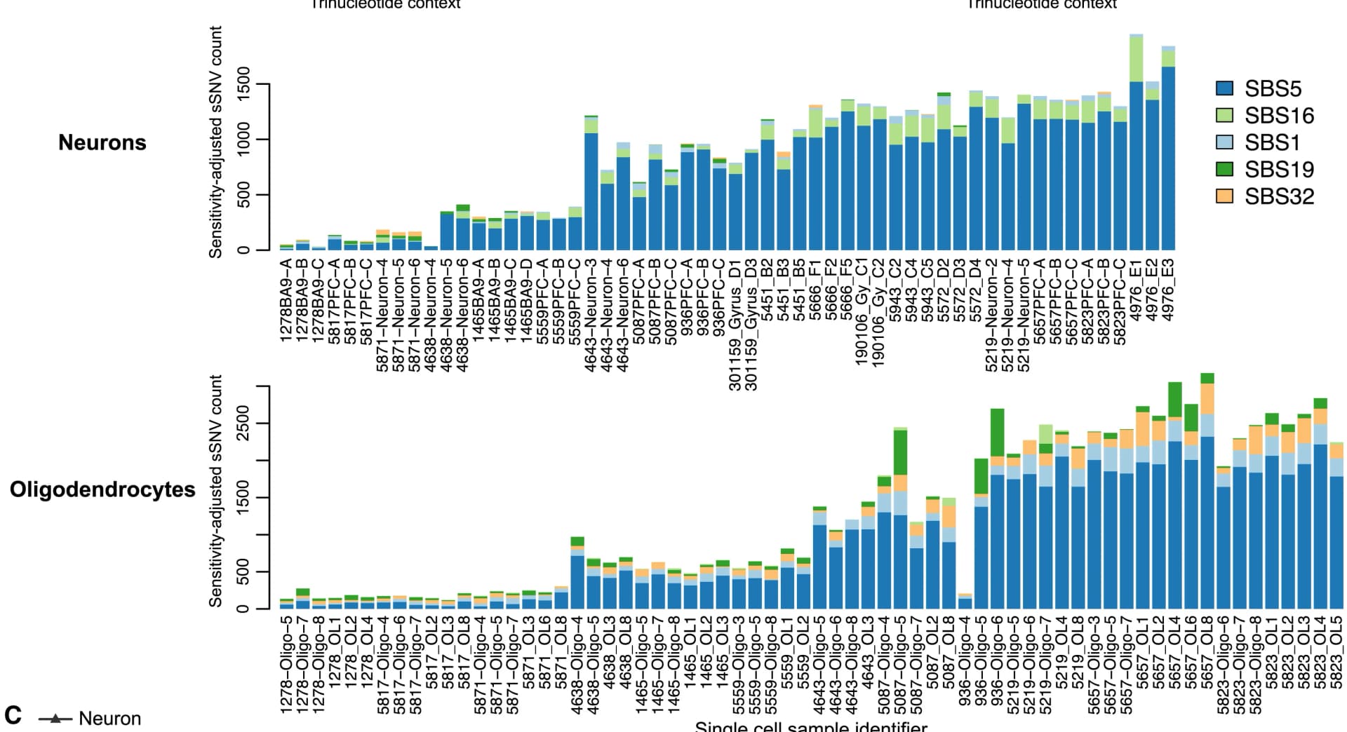 Open access visualization of Stacked Bar Plot, Somatic Mutations, Genome-Wide Burdens, COSMIC SBS Signature, SigProfilerExtractor