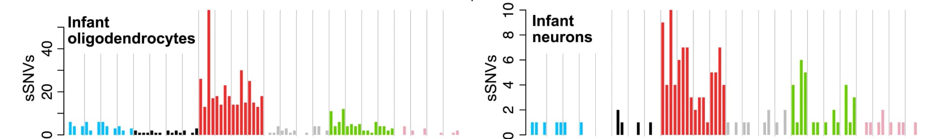 Open access visualization of Bar Plot, Histogram, SBS Mutational Spectra, Mutations, PTA OLs
