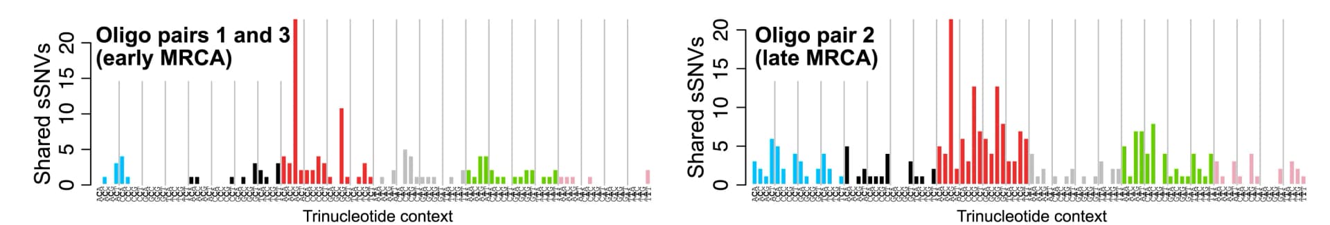 Open access visualization of Bar Plot, SBS Mutational Spectra, sSNVs, Oligodendrocytes, MRCA