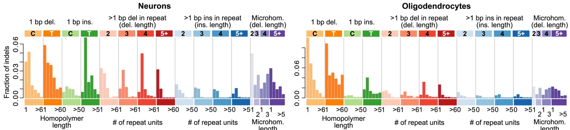 Open access visualization of Bar Plot, Histogram, Somatic Indels, Oligodendrocytes, Neurons