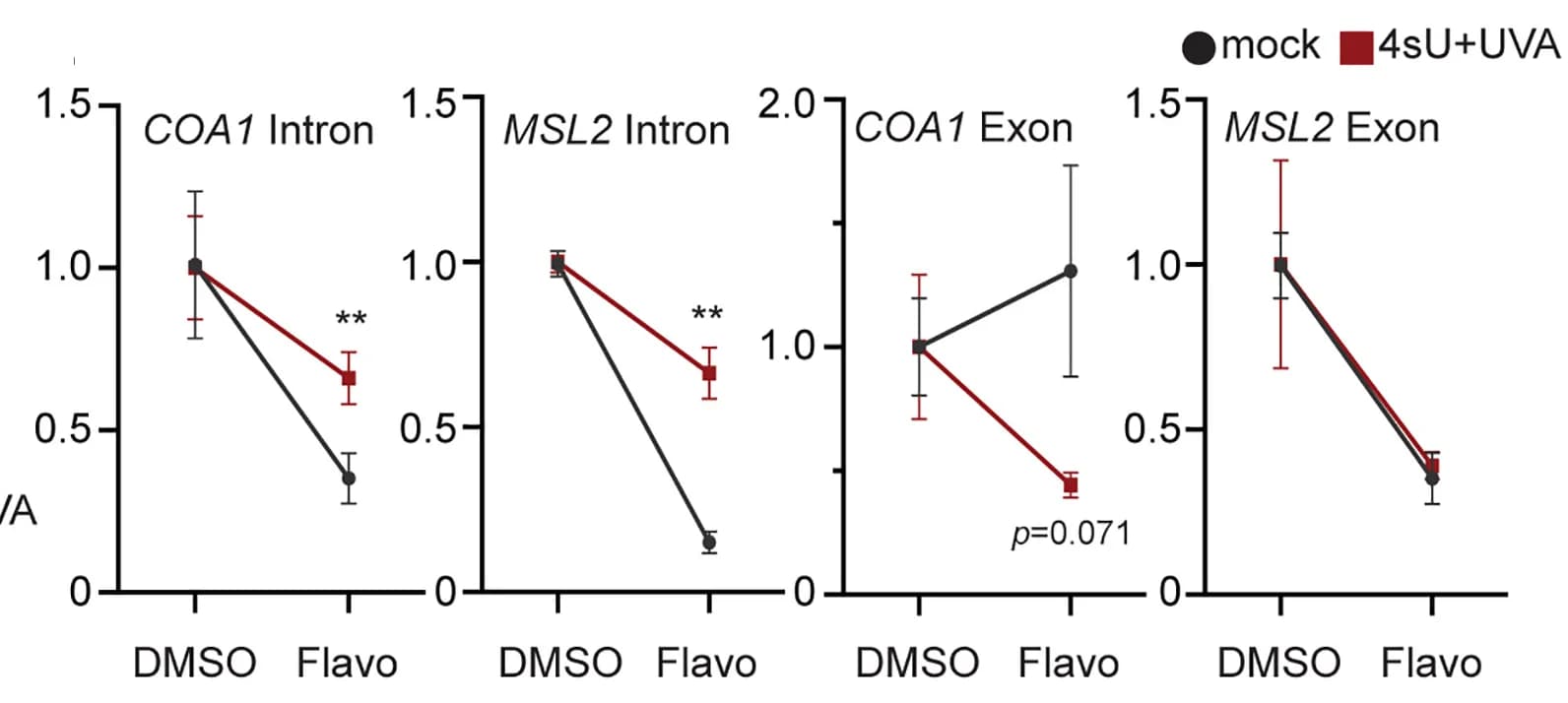 Open access visualization of Line Plot, Error Bars, RT-qPCR, Intron Levels, Exon Levels