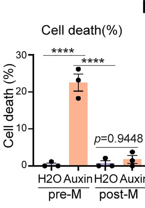 Open access visualization of Bar Plot, Error Bars, Cell Death, 4sU, UVA Treatment