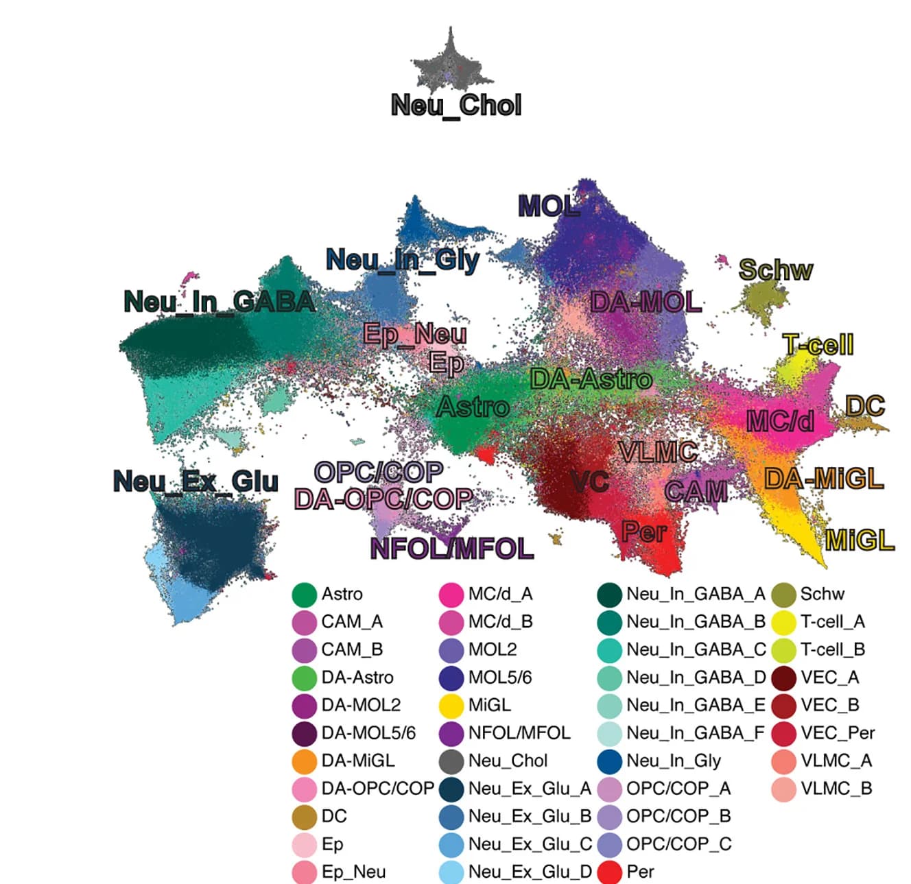 Open access visualization of Scatter Plot, UMAP, Cell Populations, EAE, Spinal Cord