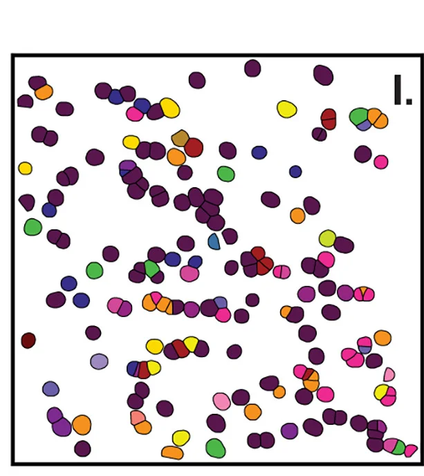Open access visualization of Scatter Plot, UMAP, Zoom-ins, Insets