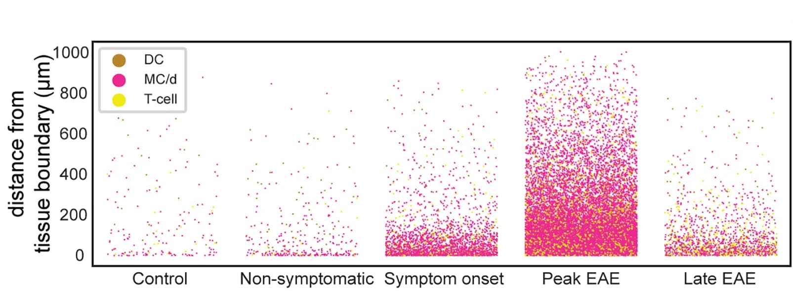 Open access visualization of Scatter Plot, Strip Plot, Immune Infiltrates, Tissue Boundary, Lumbar Sections
