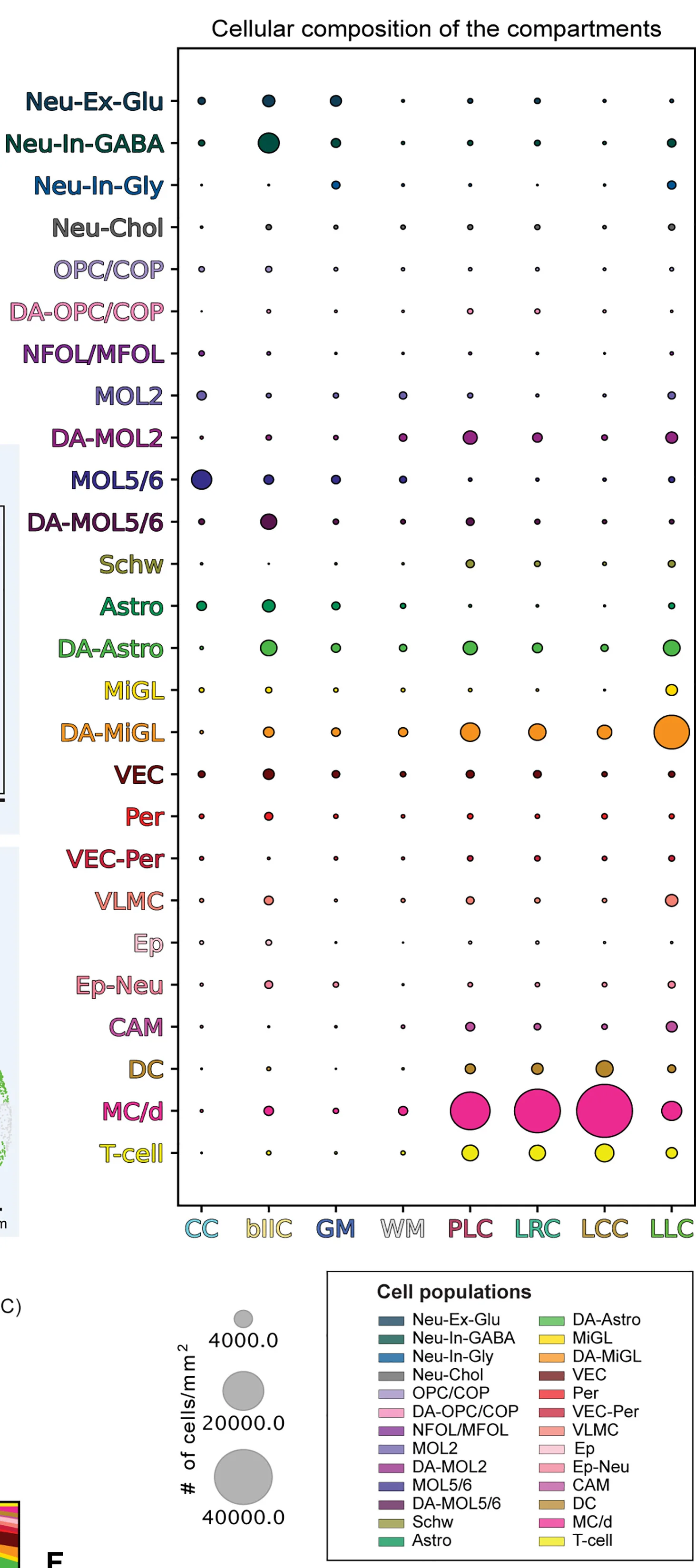 Open access visualization of Bubble Plot, Cell Density, Disease-Associated Compartments, EAE, Corpus Callosum