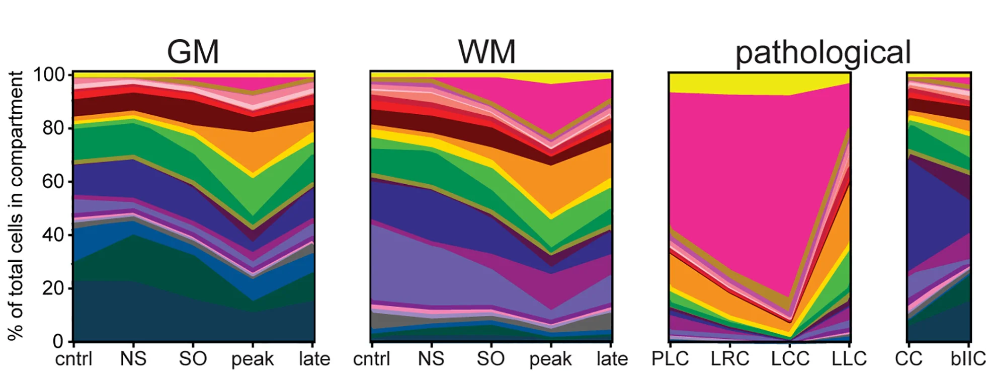 Open access visualization of Stacked Bar Plot, Cellular Composition, Spinal Cord, Gray Matter, White Matter