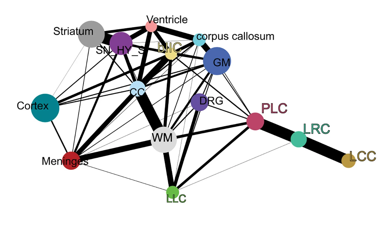 Open access visualization of Network, Pathway, PAGA, Compartments, Cell Connections