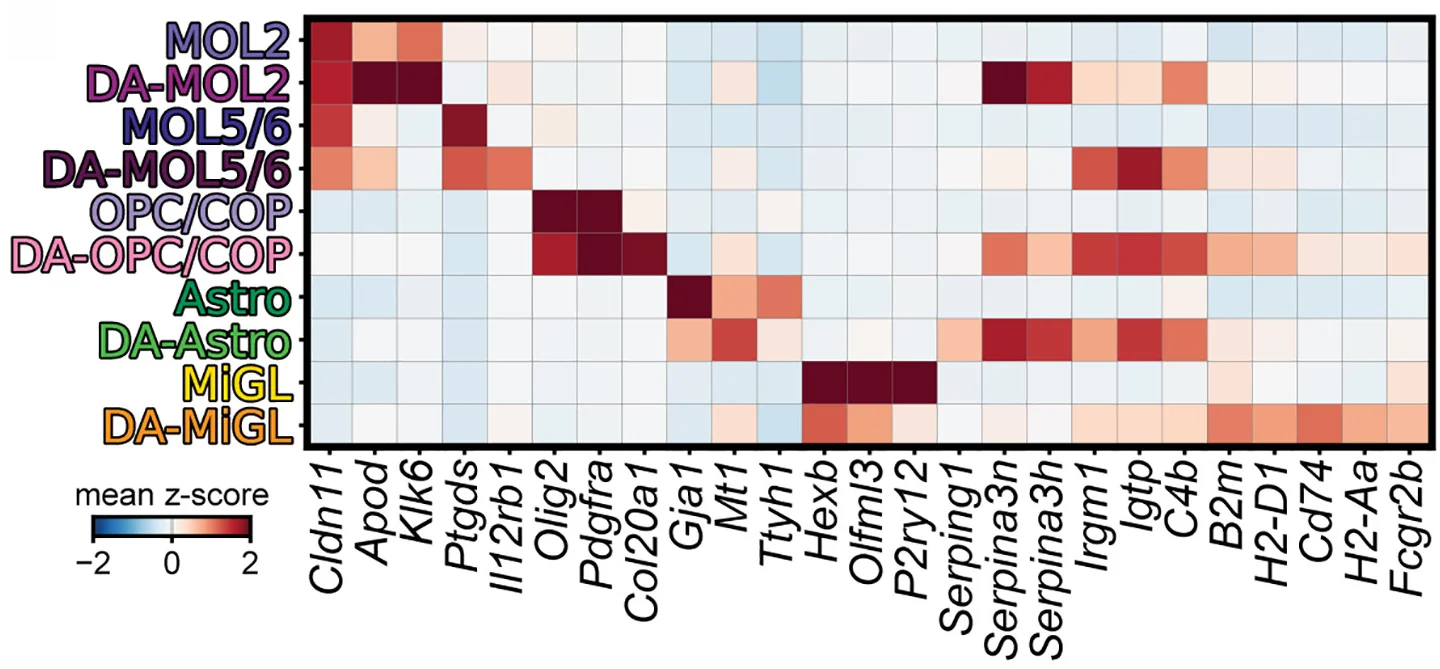 Open access visualization of Heatmap, Gene Expression, DA-glia, Marker Genes