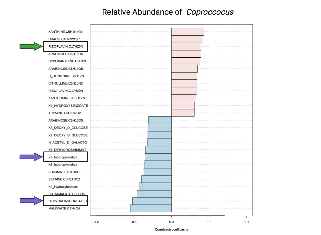 Open access visualization of Bar Plot, Stool Metabolites, Coprococcus, Relative Abundance, Correlation