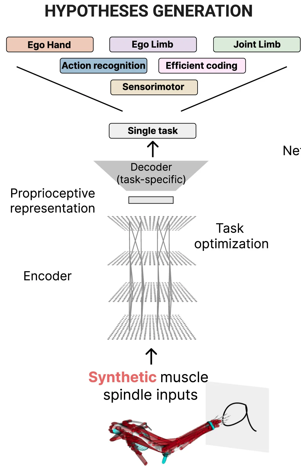 Open access visualization of Workflow, Illustration, Normative Framework, Neural Code, Proprioception