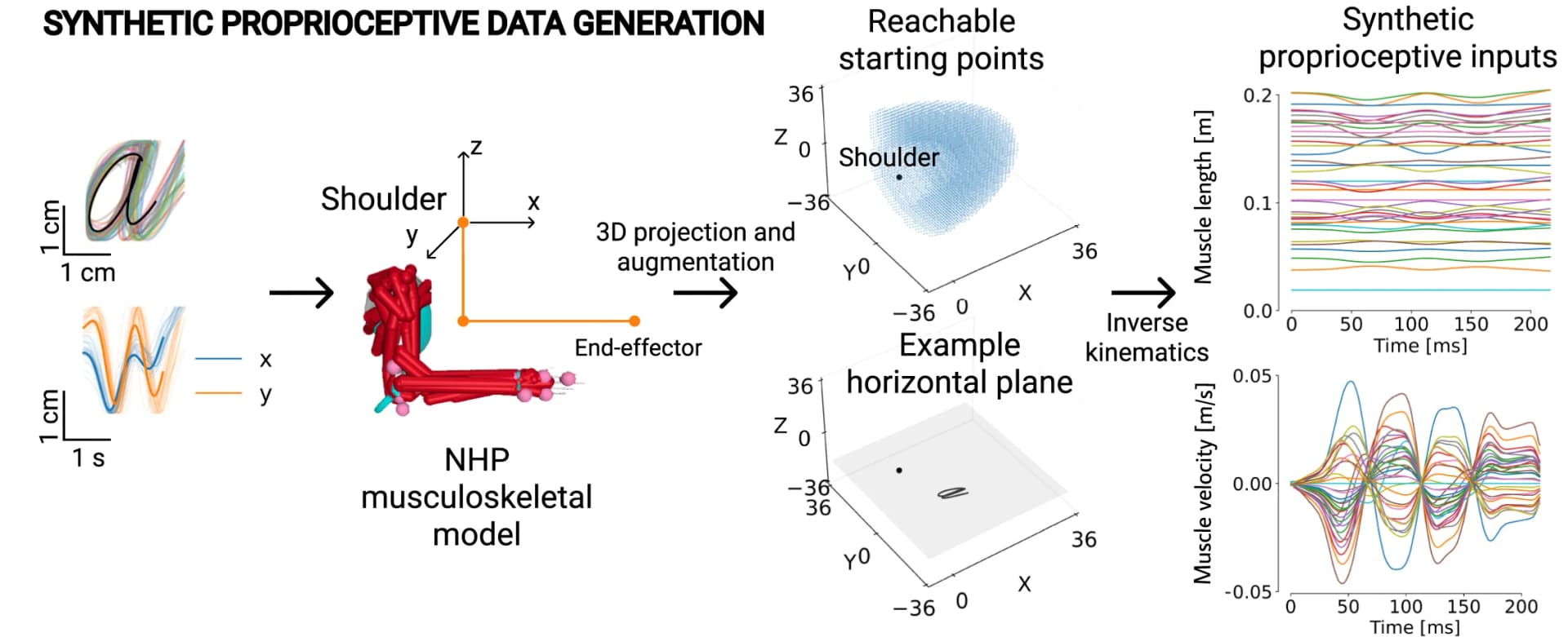 Open access visualization of Workflow, Line Plot, 3D Plot, Illustration, Proprioceptive Inputs