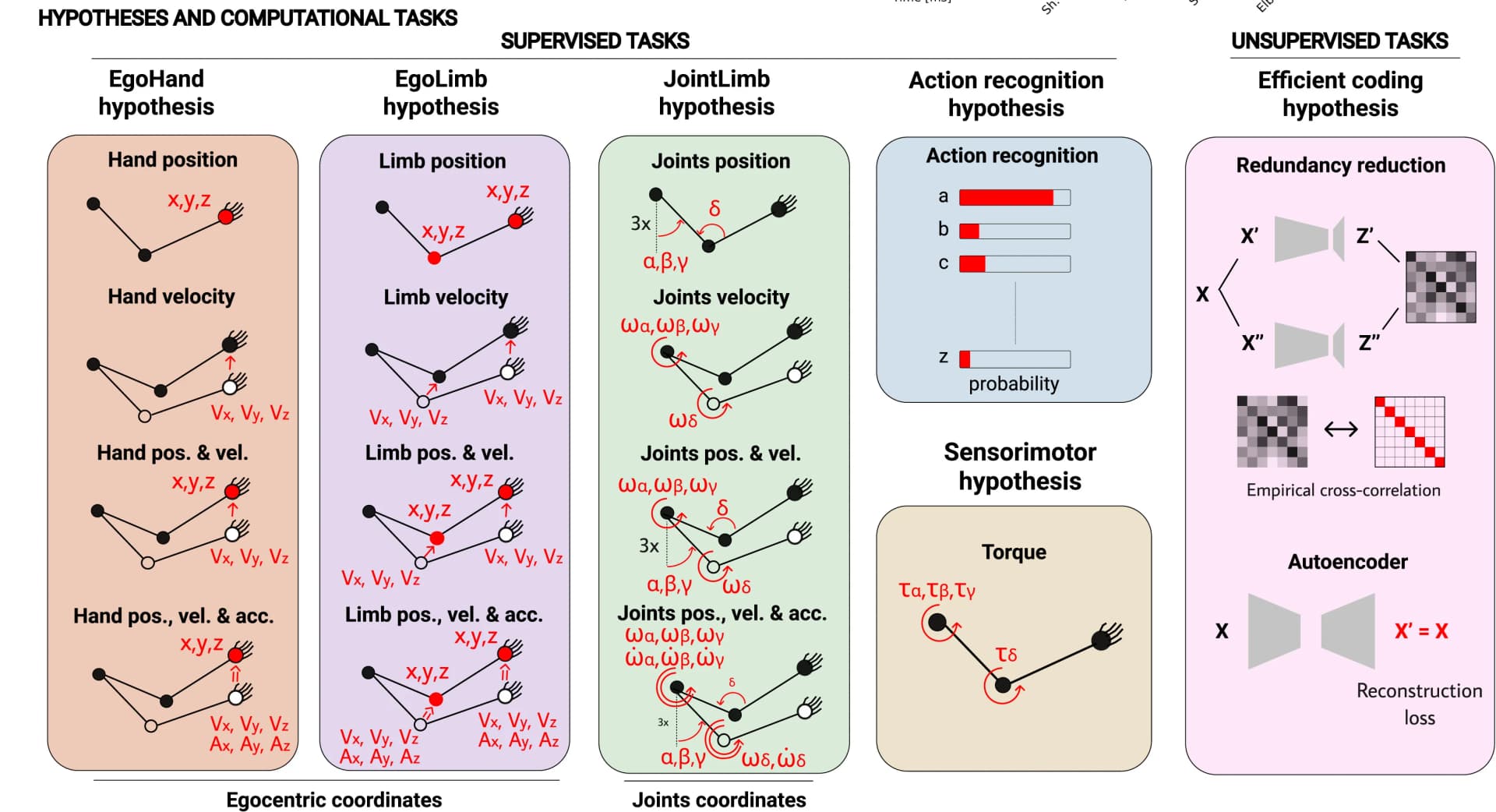 Open access visualization of Workflow, Bar Plot, Illustration, Computational Tasks, Proprioceptive Processing