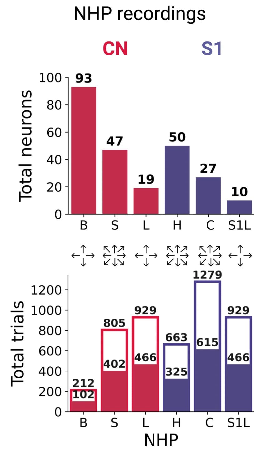 Open access visualization of Bar Plot, Clustered, Stacked Bar Plot, Neurons, Trials