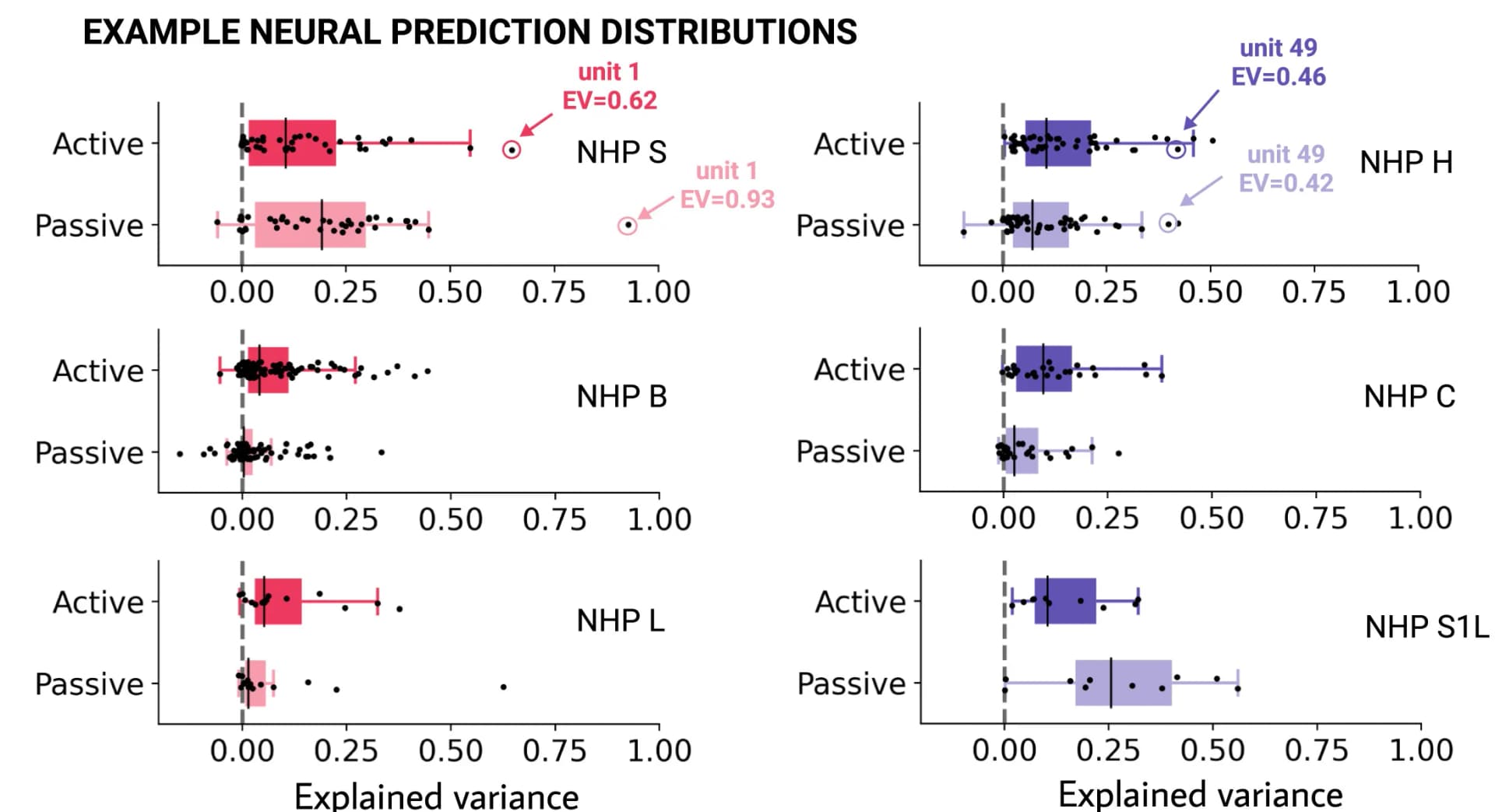 Open access visualization of Box Plot, Scatter Plot, Single-Neuron, Neural Explainability, Neurons