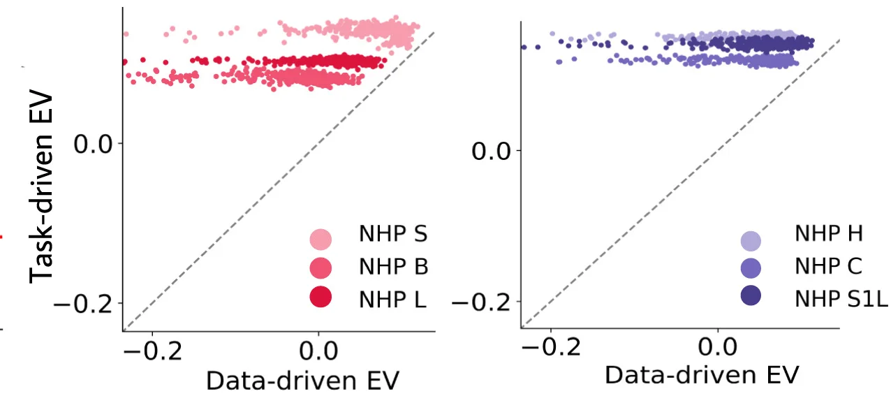 Open access visualization of Scatter Plot, Neural Explainability, Neural Network Models, Movements, TCN Models