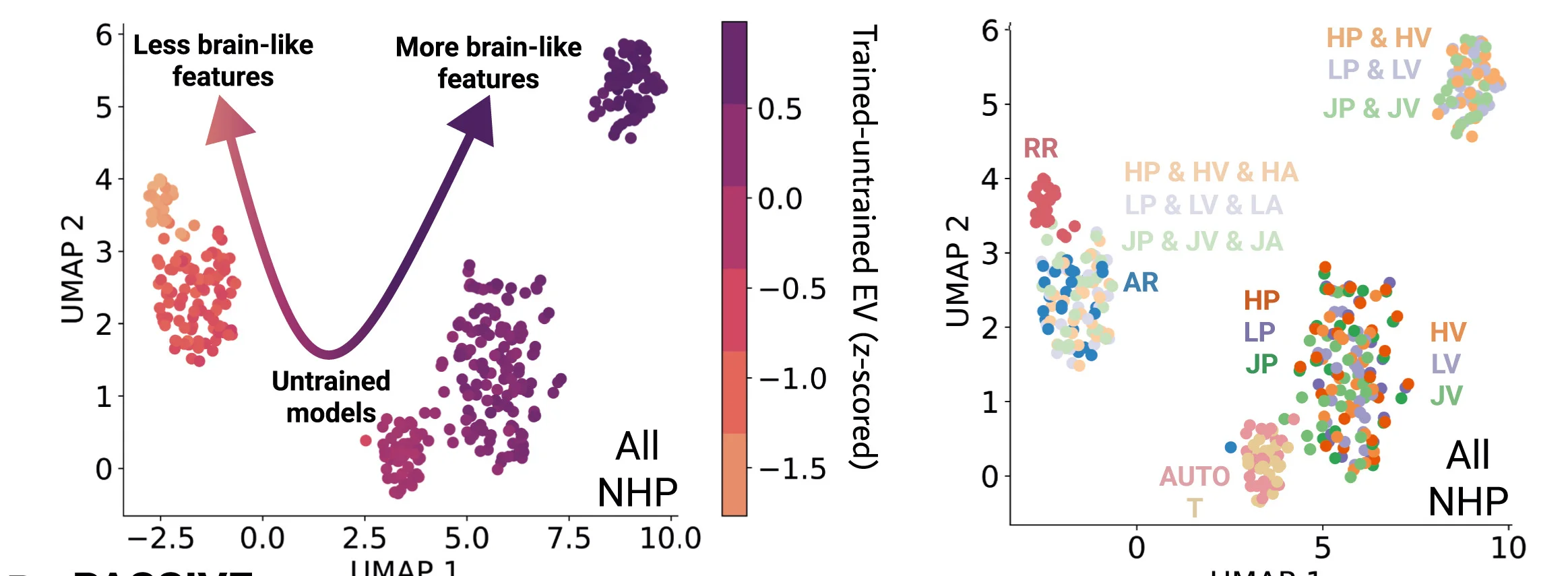 Open access visualization of Scatter Plot, UMAP, UMAP Embedding, Neural Explainability, Task Driven Networks