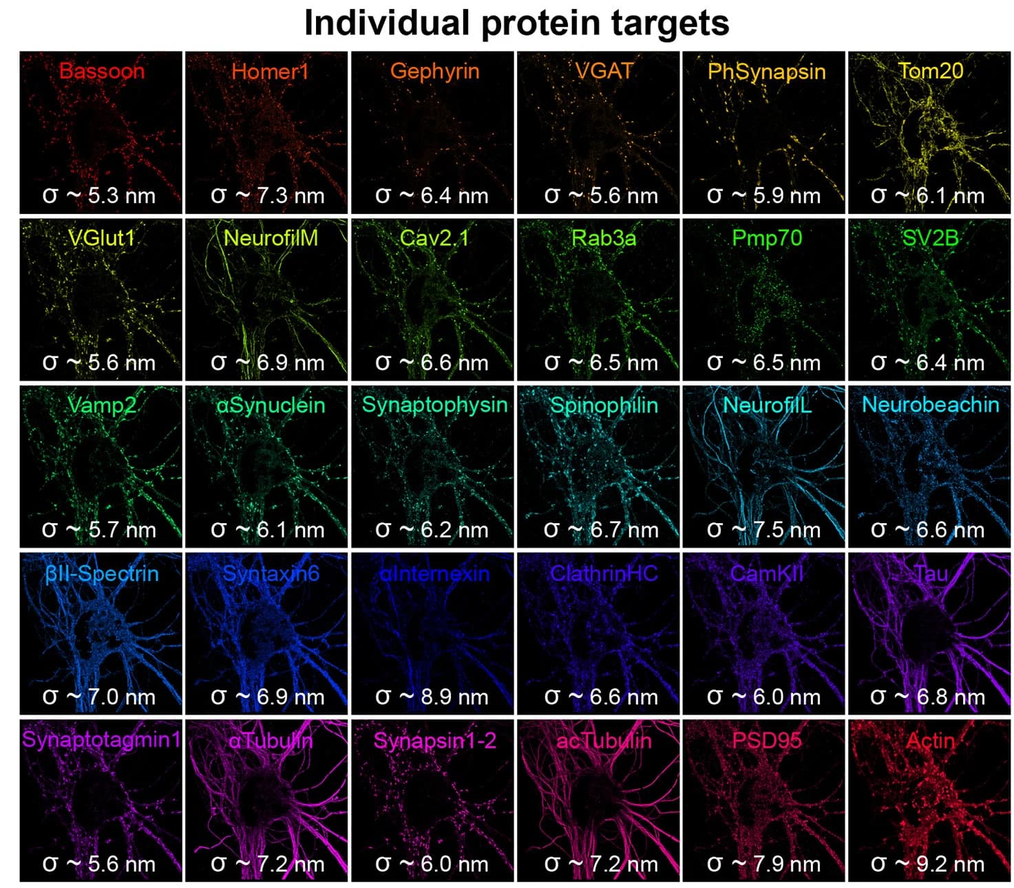 Open access visualization of Microscopy, Protein Targets, Localization Precision, Nearest Neighbor Analysis