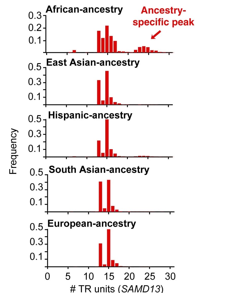 Open access visualization of Histogram, Histograms, TR-Atlas Browser, Repeat Unit Number Distributions, Intergenic TR