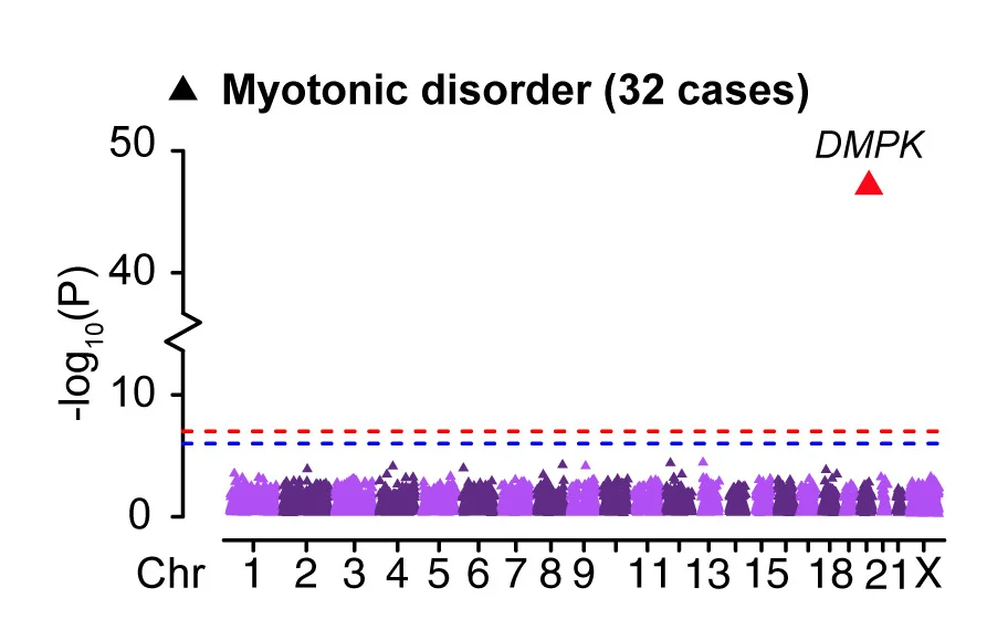 Open access visualization of Manhattan Plot, Manhattan Plots, TR-based Genome-Wide Association Studies, Myotonic Disorder