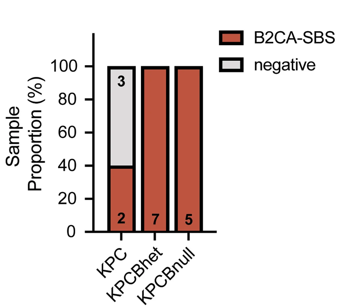 Open access visualization of Stacked Bar Plot, Bar Plot, B2CA-SBS Signature, PDAC Cell Lines, KPC Tumors