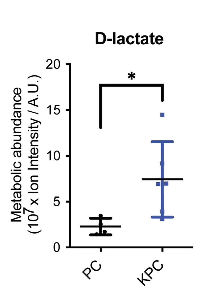 Open access visualization of Bar Plot, Error Bars, Quantification, D-Lactate, LC-MS
