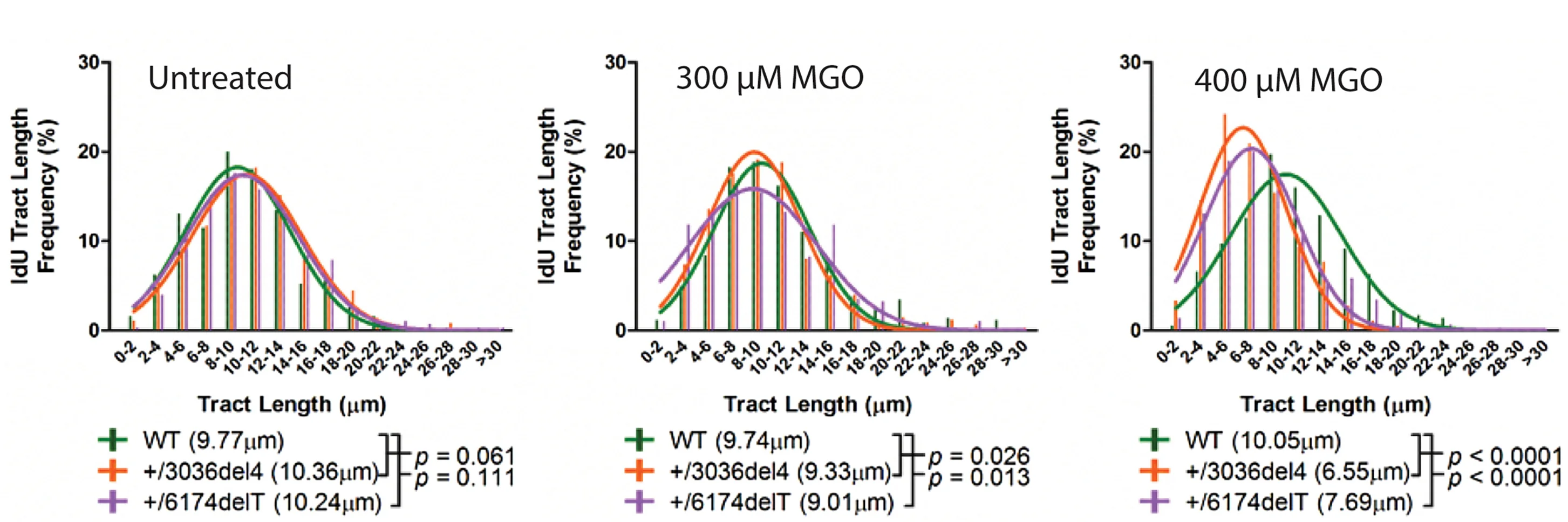 Open access visualization of Histogram, Line Plot, Iododeoxyuridine, IdU, Tract Length