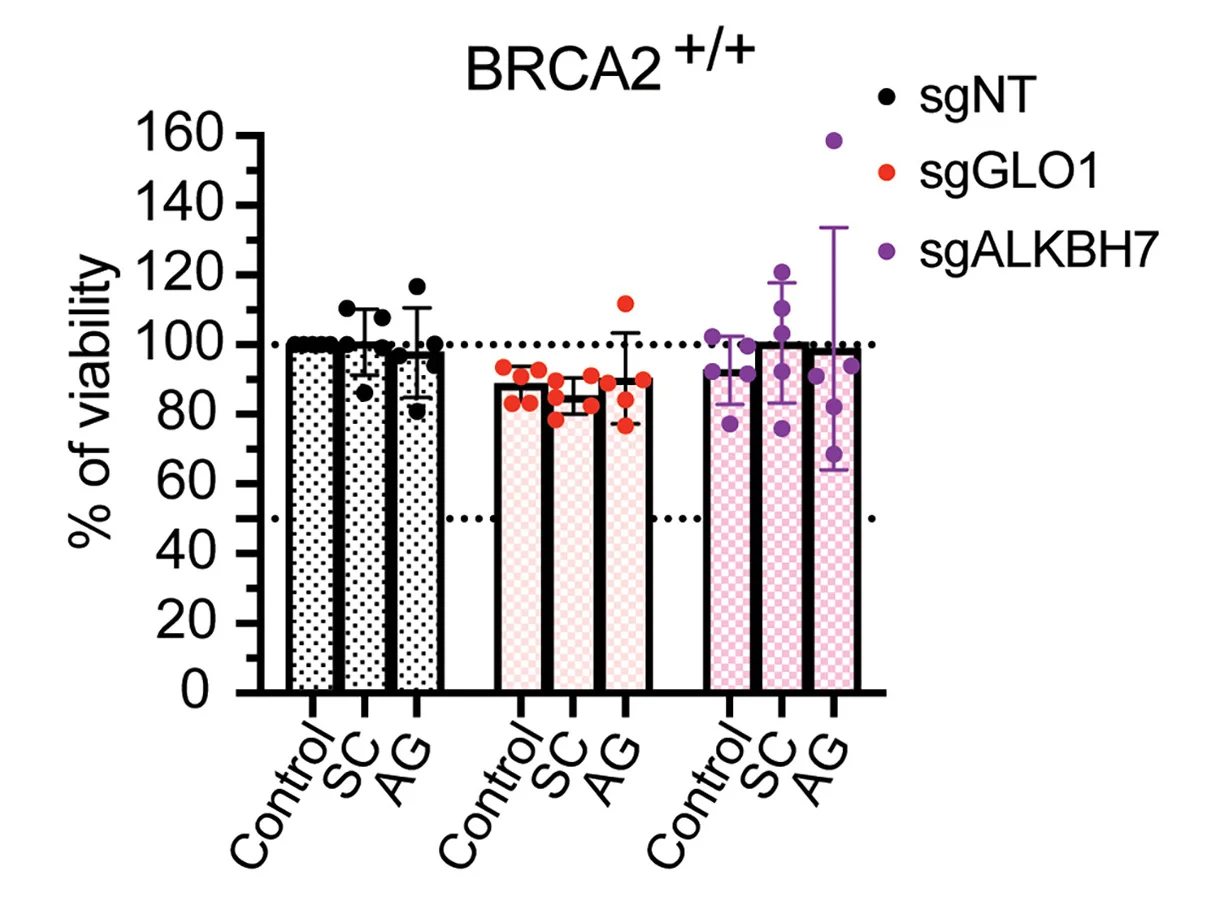 Open access visualization of Bar Plot, Error Bars, Scatter Plot, Cell Viability, GLO1
