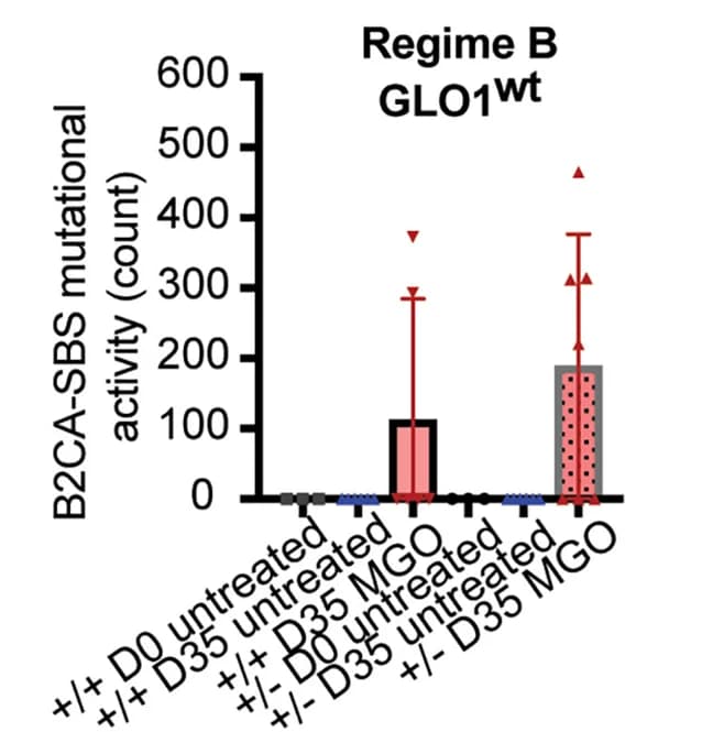 Open access visualization of Bar Plot, Error Bars, B2CA-SBS, Mutational Activity Count, Sub-Clone