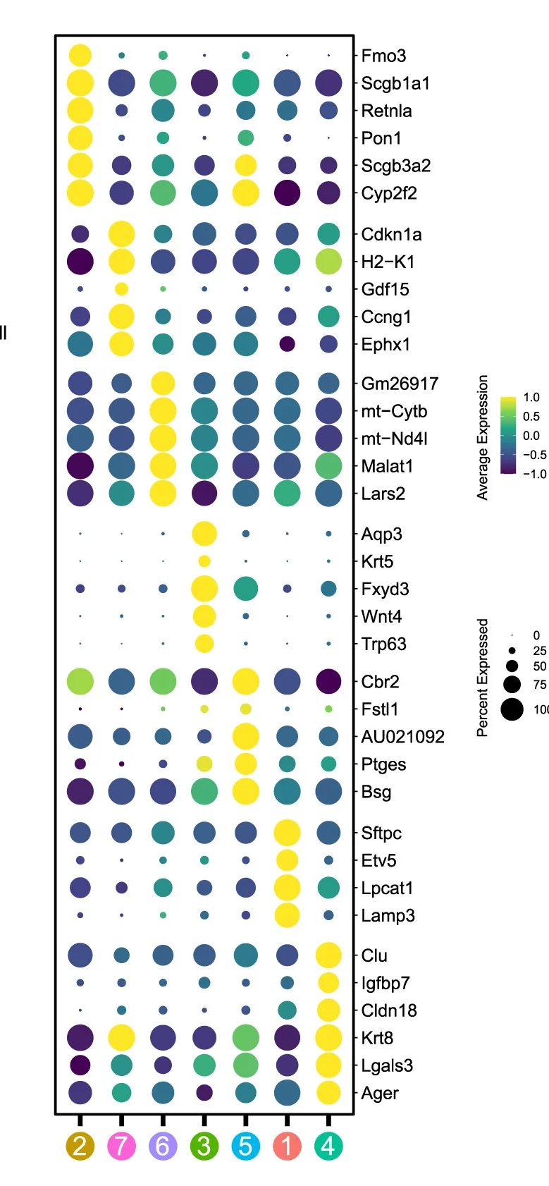 Open access visualization of Bubble Plot, Dot Plot, Expression Levels, Marker Genes, Cluster