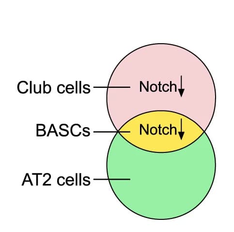 Open access visualization of Venn Diagram, Schematic Diagram, Experimental Design