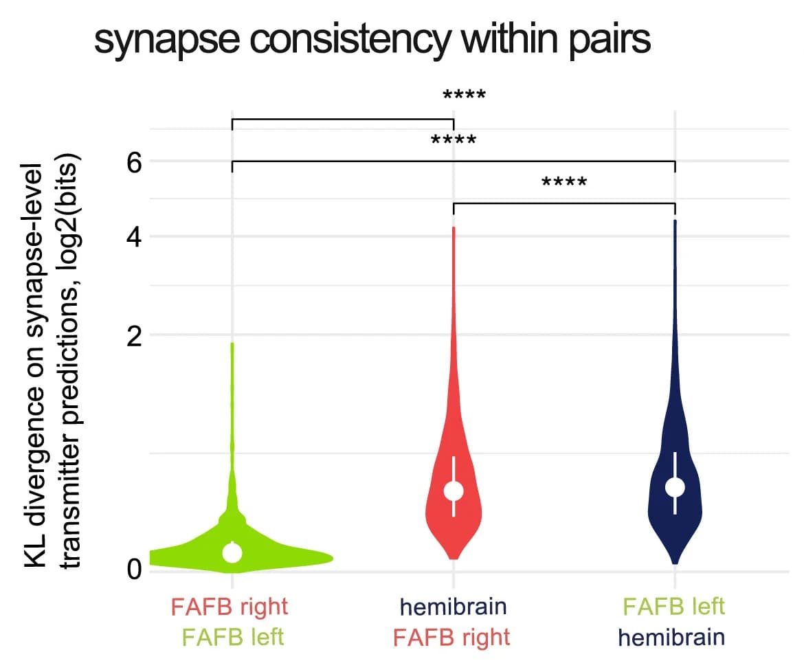 Open access visualization of Violin Plot, Similarity Scores, Matches, Kullback-Leibler Divergence, Synapse-level Transmitter Prediction Scores