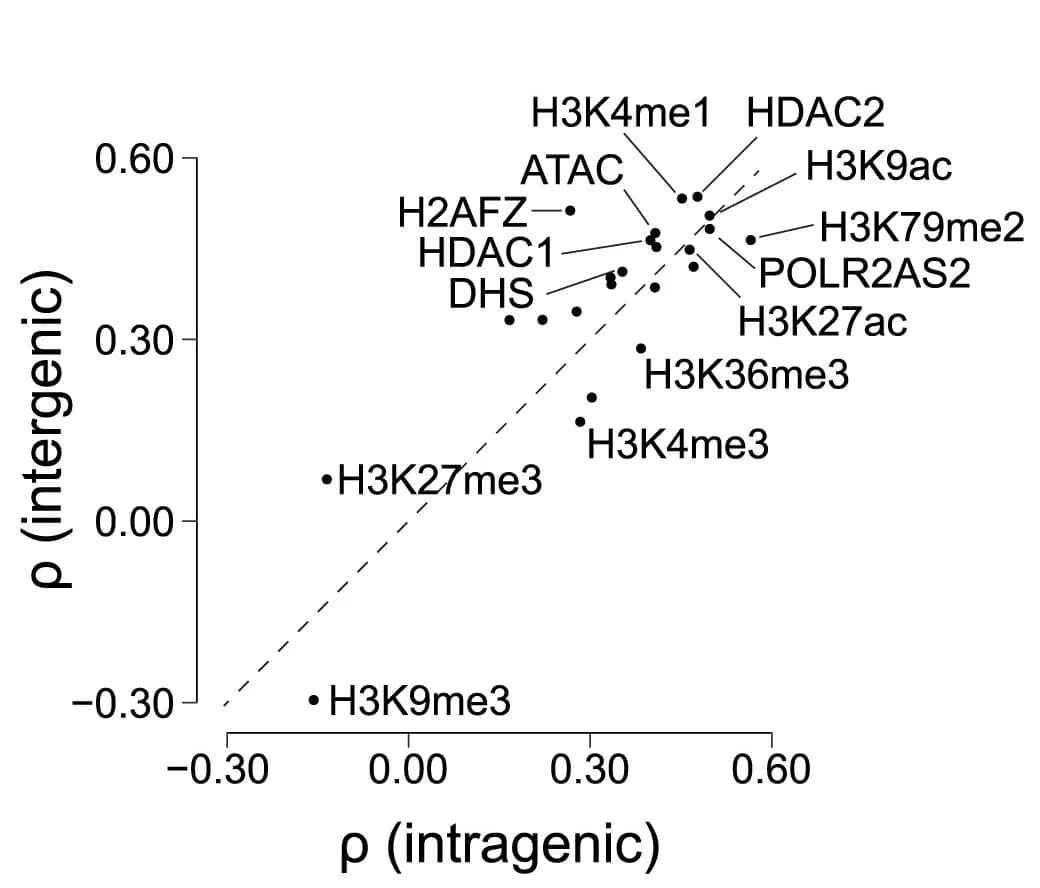 Open access visualization of Scatter Plot, Spearman Correlation, Chromatin Feature Scores, Prime Editing Efficiencies, Intragenic Reporters