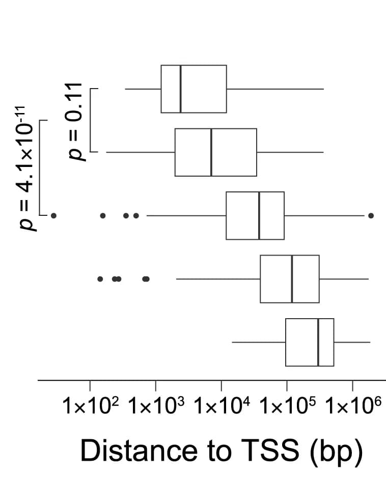 Open access visualization of Box Plot, Distance, synHEK3 Reporters, TSS, Log10 Scale