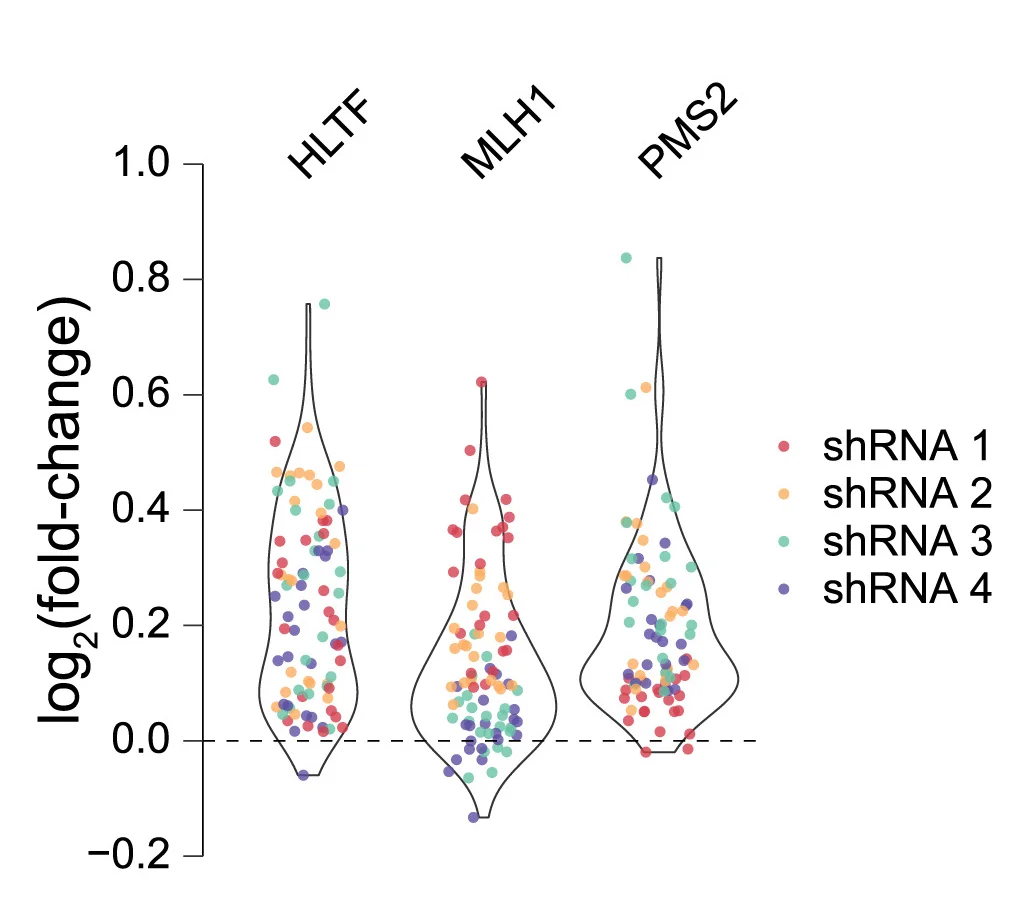 Open access visualization of Violin Plot, Scatter Plot, Editing Efficiency, synHEK3 Sites, HLTF