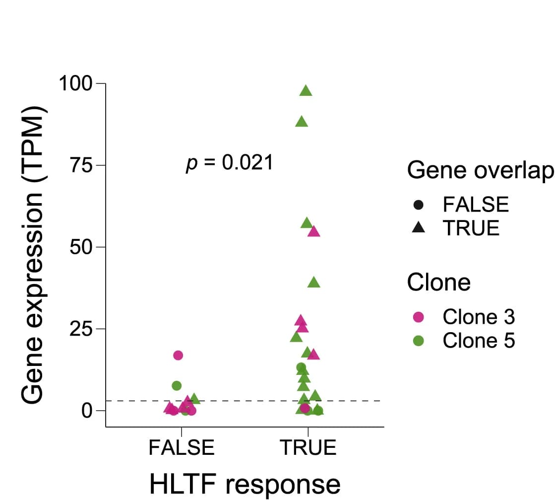Open access visualization of Scatter Plot, Gene Expression, synHEK3 Reporter, TPM, Kolmogorov-Smirnov Test