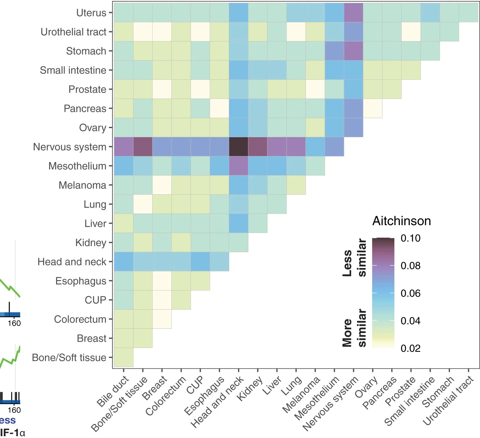 Open access visualization of Heatmap, Cancer Type, Aitchison Dissimilarities, PERMANOVA, Biopsy Site
