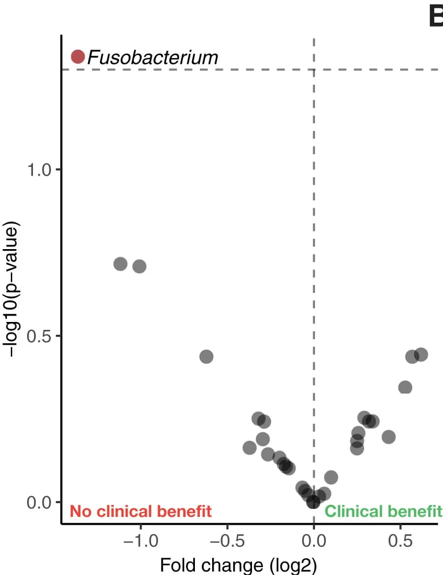 Open access visualization of Volcano Plot, Scatter Plot, NSCLC Patients, Durable Clinical Benefit, ICB