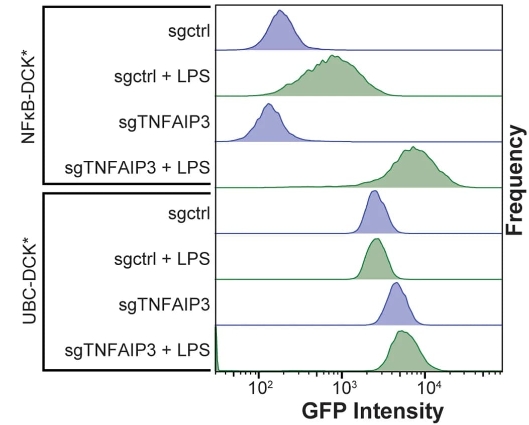 Open access visualization of Density Plot, Ridge Plot, GFP Intensity, Fluorescence-Activated Cell Sorting, NALM-6 Reporter Cells