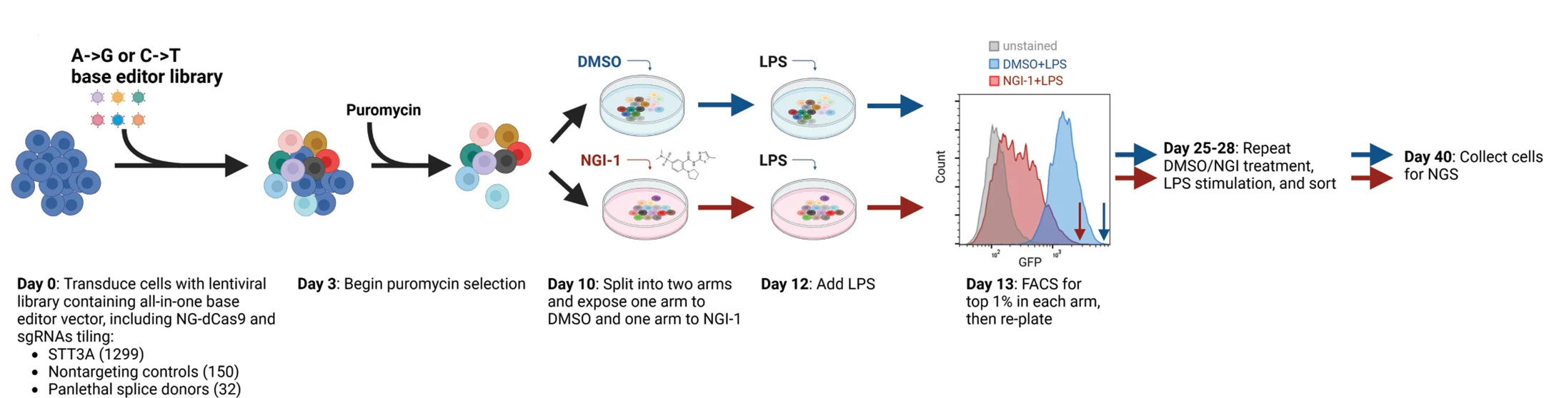 Open access visualization of Workflow, Density Plot, Base Editor, Screen, TNFAIP3-/- NF-kB-DCK*NALM-6 Cells