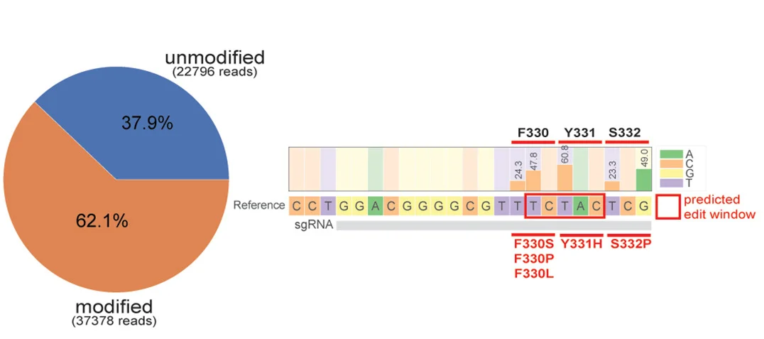 Open access visualization of Pie Chart, Bar Plot, NGS, Genomic DNA, sgRNA