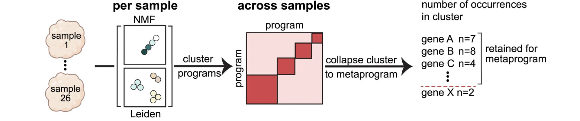 Open access visualization of Workflow, Illustration, Metaprogram, Leiden Clustering, NMF